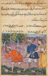 Seite aus Geschichten eines Papageis Tuti-nama: Zweiundvierzigste Nacht: Die Tochter des Rajas..., um 1560 von Unbekannt
