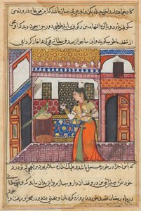 Seite aus Geschichten eines Papageis Tuti-nama: Dreiundvierzigste Nacht: Der Papagei spricht zu Khujasta, ca. 1560 von Unbekannt