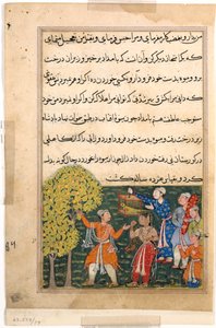 Seite aus Geschichten eines Papageis Tuti-nama: Neunte Nacht: Der König pflückt Früchte vom Baum..., ca. 156