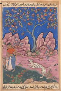 Seite aus Geschichten eines Papageis Tuti-nama: Dreißigste Nacht: Die Frau im Gespräch, um 1560
