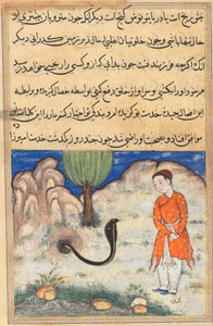 Seite aus Geschichten eines Papageis Tuti-nama: Siebenunddreißigste Nacht: Der Prinz..., um 1560