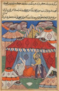 Seite aus Geschichten eines Papageis Tuti-nama: Vierundzwanzigste Nacht: Der verkleidete Araber..., ca. 1560 von Unbekannt