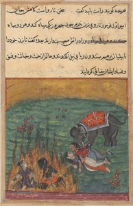 Seite aus den Geschichten eines Papageis Tuti-nama: Zweiundzwanzigste Nacht: Als Strafe..., um 1560
