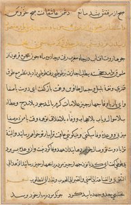 Seite aus Geschichten eines Papageis Tuti-nama: Textseite, ca. 1560 von Unbekannt