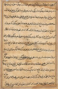 Seite aus Geschichten eines Papageis Tuti-nama: Textseite, ca. 1560 von Unbekannt