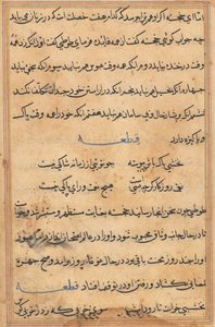 Seite aus Geschichten eines Papageis Tuti-nama: Textseite, ca. 1560 von Unbekannt