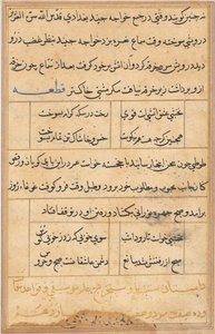 Seite aus Geschichten eines Papageis Tuti-nama: Textseite, ca. 1560 von Unbekannt