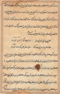 Seite aus Geschichten eines Papageis Tuti-nama: Textseite, ca. 1560 von Unbekannt