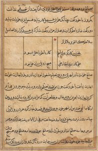 Seite aus den Geschichten eines Papageis Tuti-nama: Textseite, ca. 1560 von Unbekannt