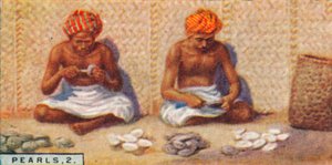 Perlen, 2. - Öffnen der Austern, Ceylon, 1928 von Unbekannt