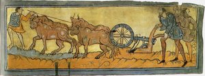 Bauern beim Pflügen, Miniatur aus dem Cotton MS Tiberius, 11. Jahrhundert