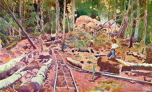 Durchdringen des Amazonaswaldes - Madeira-Mamoré-Eisenbahn, 1914 von Unbekannt