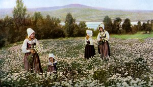 Blumenpflücken auf einer Wiese bei Leksand, Schweden, ca. 1923