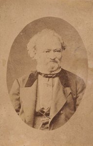 Porträt des Pianisten und Komponisten Ferenc Erkel 1810-1893, ca. 1875