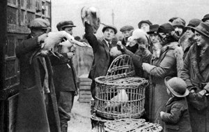 Geflügelhändler, Caledonian Market, London, 1926-1927