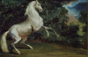 Tänzelndes Pferd, 1808-1812