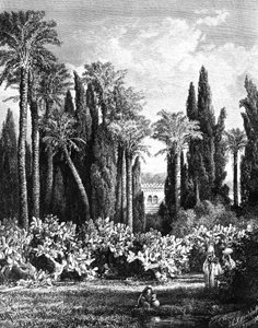 Fürstlicher Garten in Kairo, Ägypten, 1880