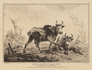 Druck (Frankreich)