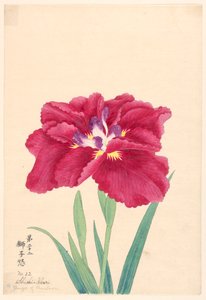 Druck, Zorn des Löwen (Shishi-Ikari), Nr. 22