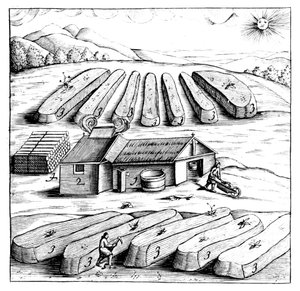 Herstellung von Salpeter, Kaliumnitrat oder KNO3, 1683