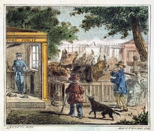 Öffentliche Waage zur Viehgewichtsmessung auf einem Markt, 1867
