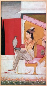 Punjabi-Illustration einer Dame mit einem Falken