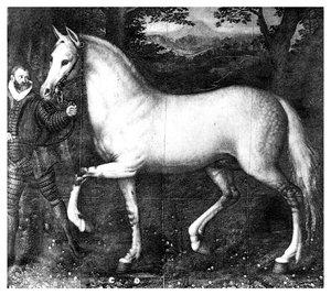 Das Pferd von Königin Elizabeth I. von Unbekannt