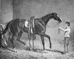 Königin der Trümpfe, 1832-1843, 1911
