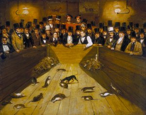 Rattenjagd im Blue Anchor Tavern, Bunhill Row, Finsbury, ca. 1850 von Unbekannt