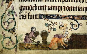 Ernten und Binden von Garben aus dem Luttrell Psalter, um 1330
