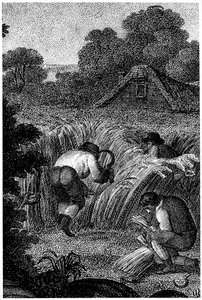 Ernten mit Sicheln und Binden der Garben, England, ca. 1800 von Unbekannt
