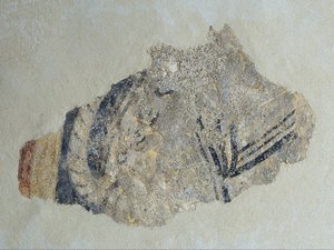 Überreste eines Vierbeiners aus Sant Joan de Boí von Unbekannt