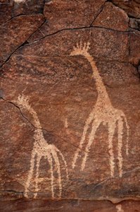 Felskunst, Vorgeschichte: Detail einer Gravur von Giraffen im Uweinat-Massiv, Ägypten. (Zeitraum von 8000 bis 3000 v. Chr.). Fotografie