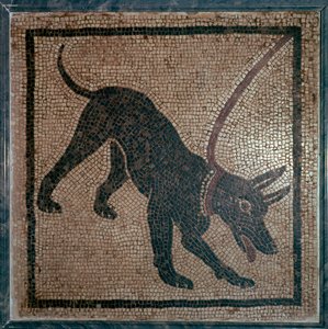 Römisches Mosaik eines Hundes