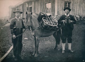 Saetersdalen Hochländer mit Packpferd, 1914