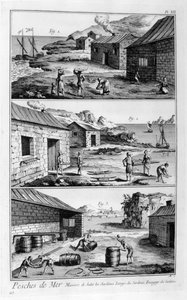 Salzen, Waschen, Verpacken von Sardinen, 1751-1777