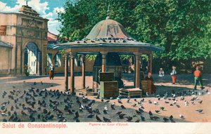 Salut von Konstantinopel - Tauben im Hof von Eyoub, ca. 1900 von Unbekannt