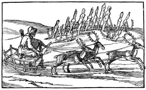 Samojede auf einem von Rentieren gezogenen Schlitten, spätes 16. - frühes 17. Jahrhundert