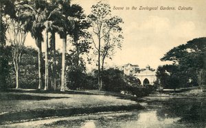 Szene im Zoologischen Garten, Kalkutta