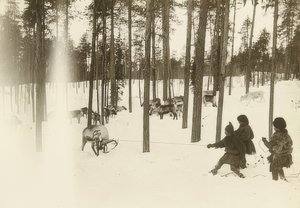 Schweden. Lappen beim Einfangen eines Rentiers von Unbekannt