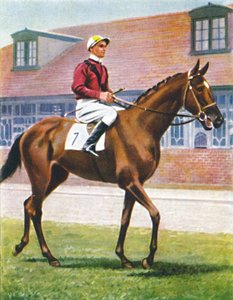 Senor, Jockey: J. Crouch, 1939 von Unbekannt