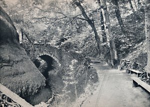 Shanklin - Die Schlucht, 1895