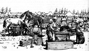 Hufschmiede der New South Wales Artillerie in Suakim, ca. 1885, 1902 von Unbekannt