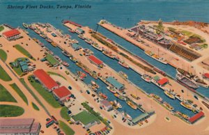 Shrimp Fleet Docks, Tampa, Florida, 1940er Jahre