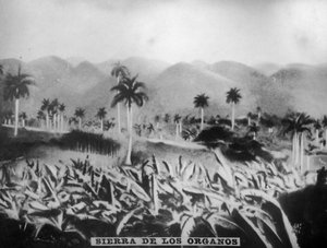 Sierra de los Organos, 1896, 1920er Jahre von Unbekannt