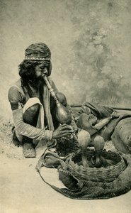 Schlangenbeschwörer von Unbekannt