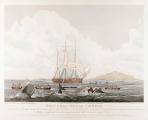 Südsee-Walfang, 1825
