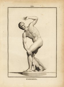 Statue des Endymion, Griechischer Hirte von Unbekannt