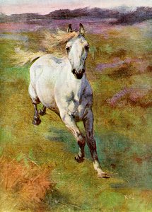 Studie aus dem Leben für Colt Hunting im New Forest, 1899