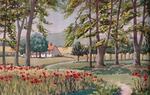Sommer - Die physischen, chemischen und biologischen Veränderungen durch die Sonne im Laufe des Jahres, 1935